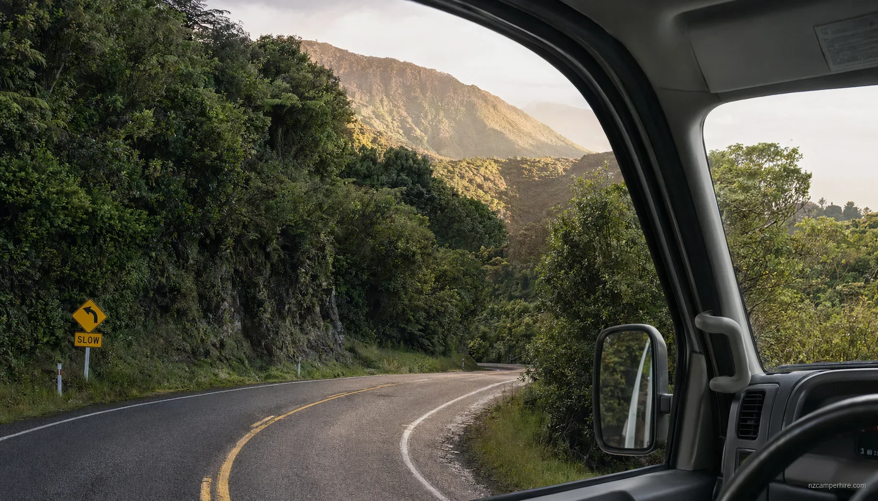Driving on the left in NZ