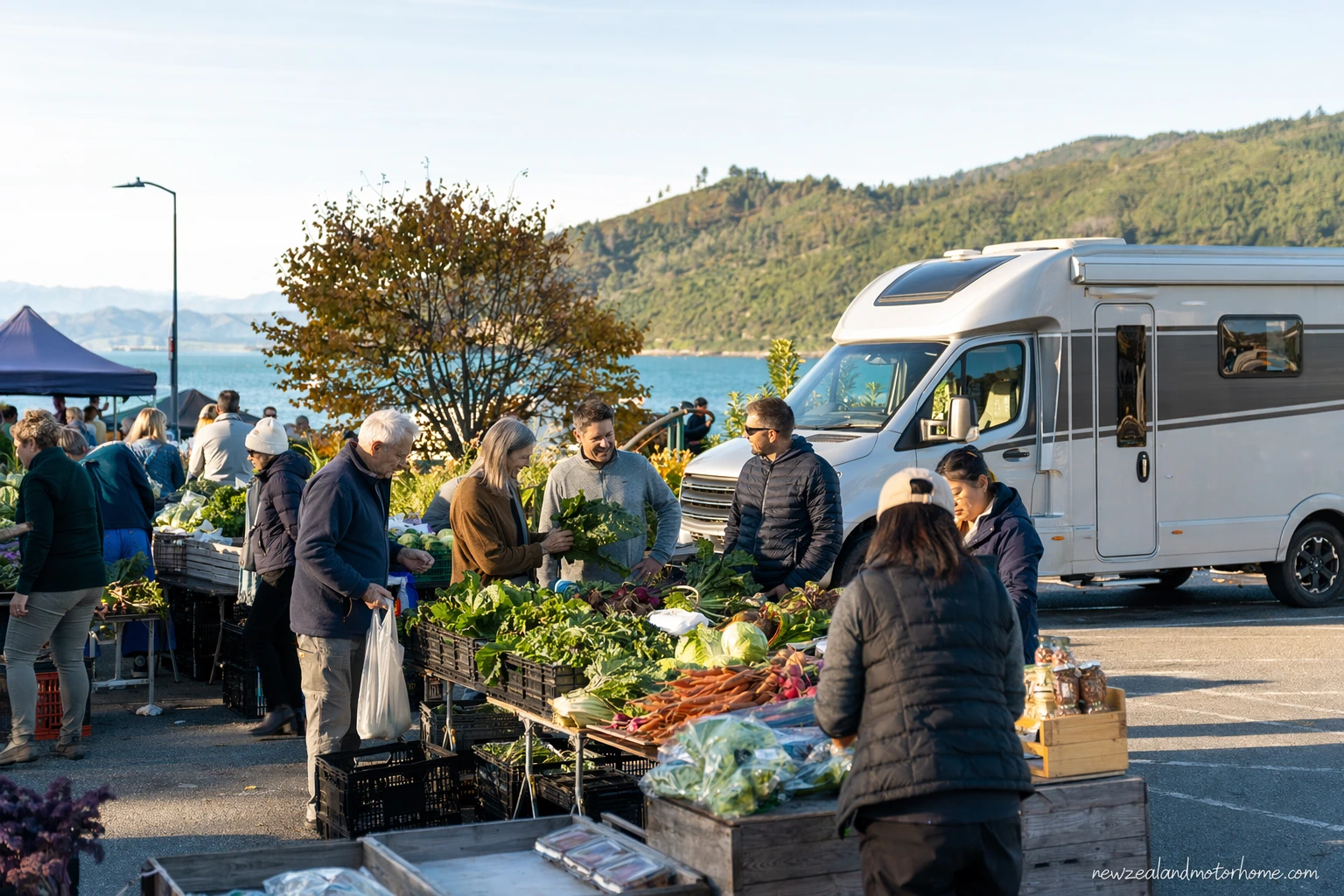 Campervan parked near a Nelson Tasman farmers market with fresh produce stalls and hills in the background