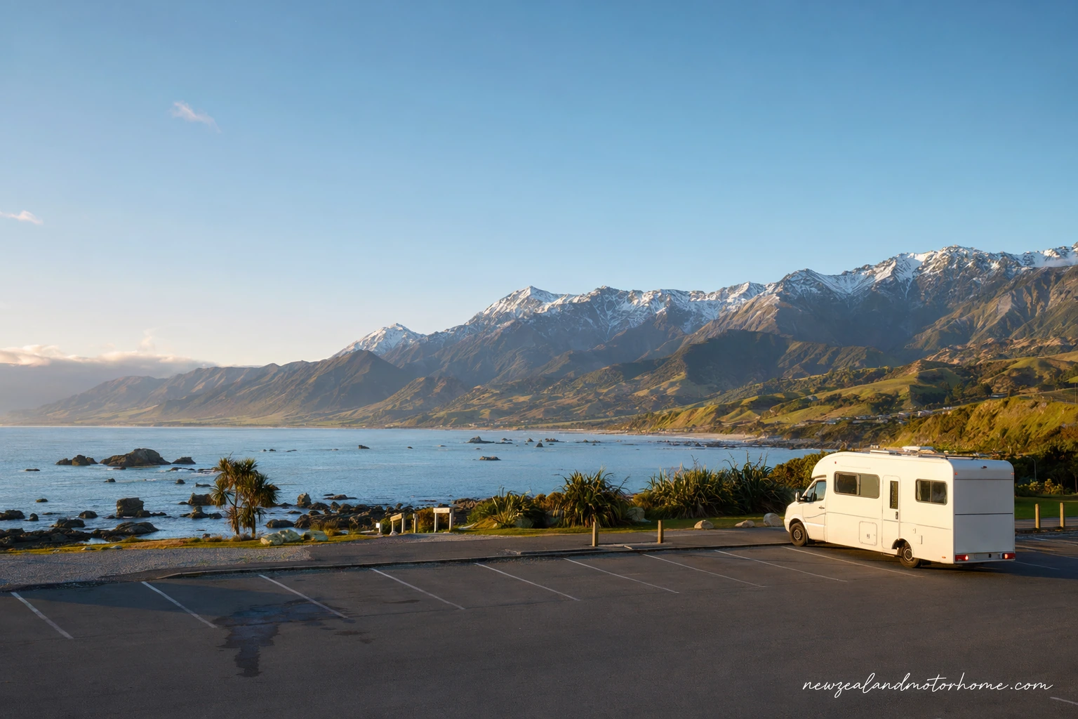 visiting kaikoura whale watching by campervan — campervan travel