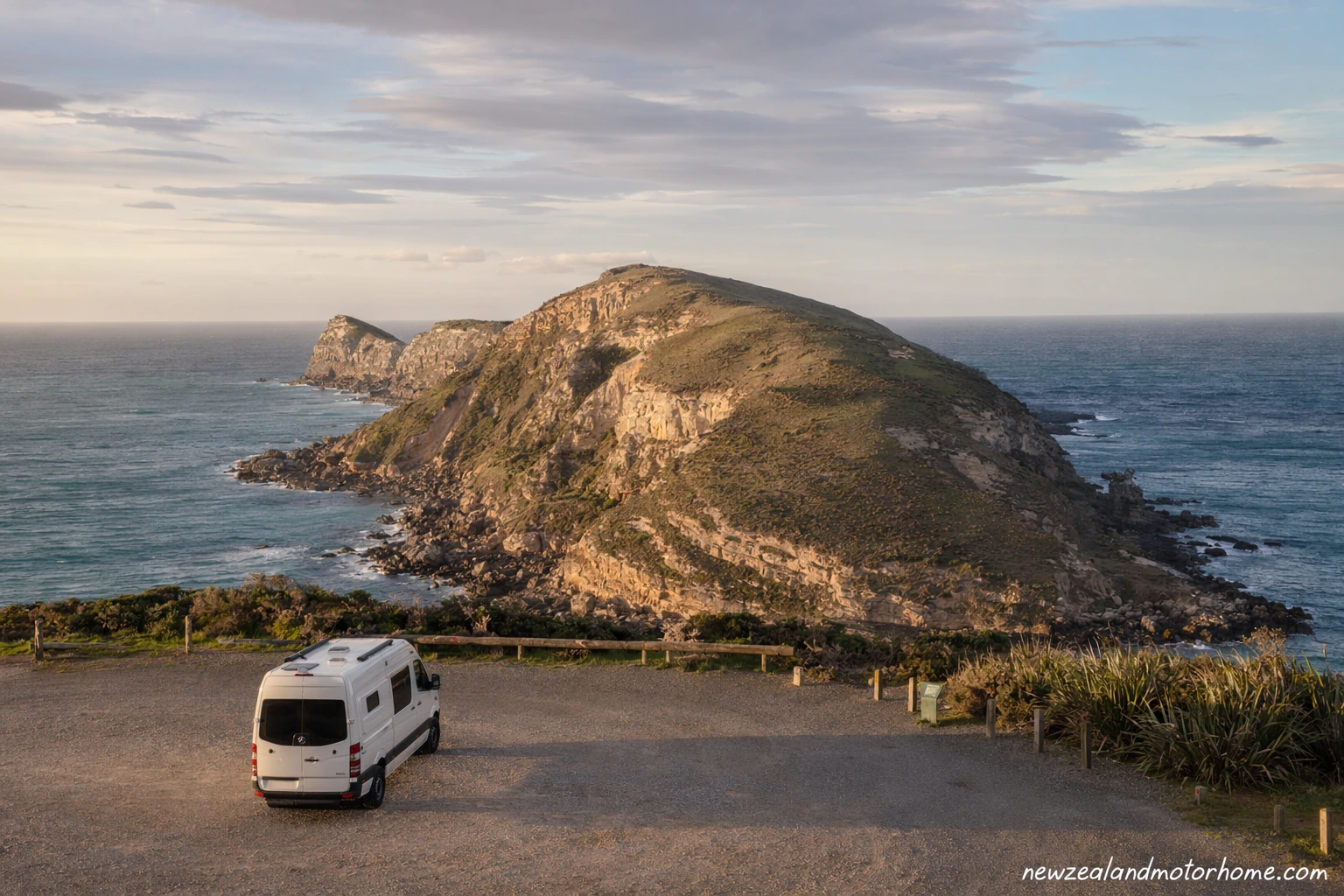 visiting otago peninsula wildlife by campervan — campervan travel